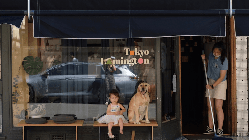 Tokyo Lamington Newtown