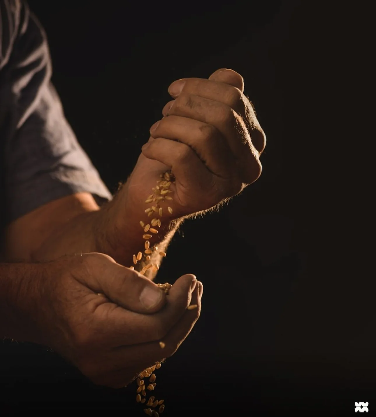 Wholegrain Milling Co