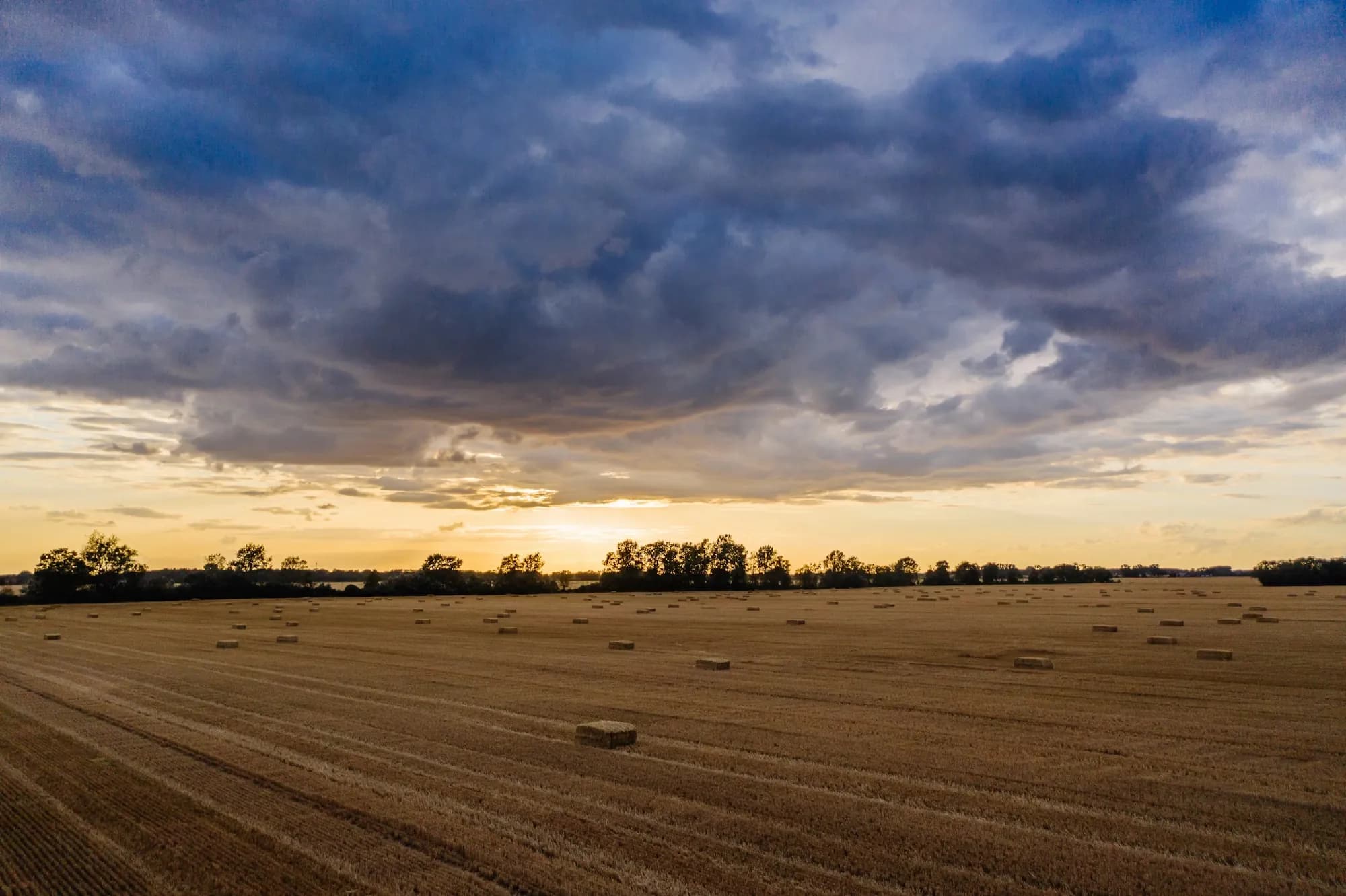 Sustainable Baking: The Future of Flour