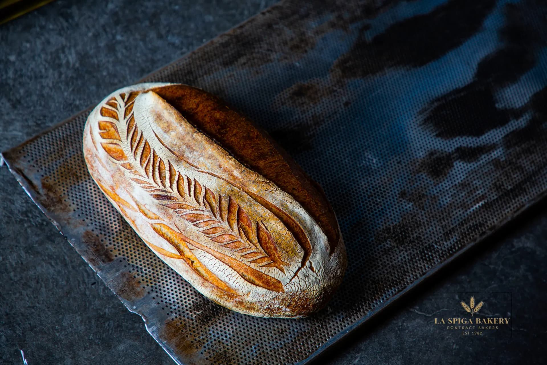 La Spiga Bakery Contractors